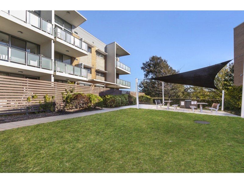 177/116 Easty Street, Phillip ACT 2606