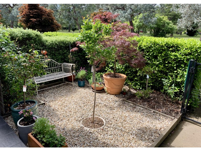 2/1 Wise Street, Braddon ACT 2612