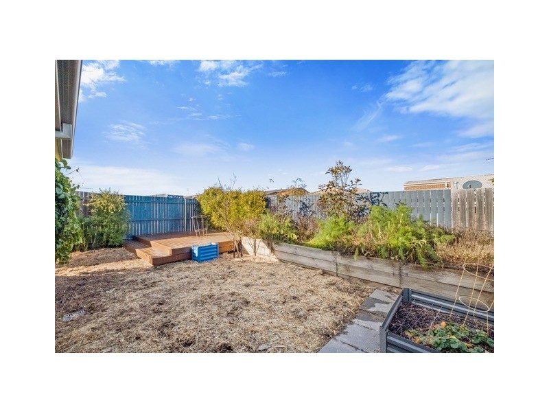 172 MacFarlane Burnet Avenue, Macgregor ACT 2615