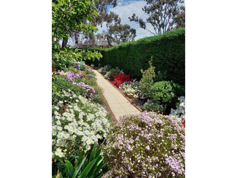 25 Nellie Hamilton Avenue, Gungahlin ACT 2912