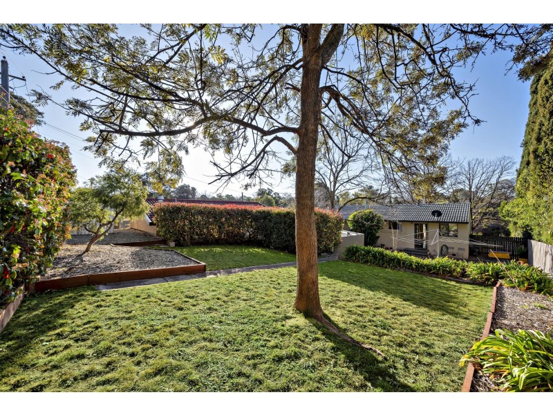 1/31 Biraban Place, Macquarie ACT 2614