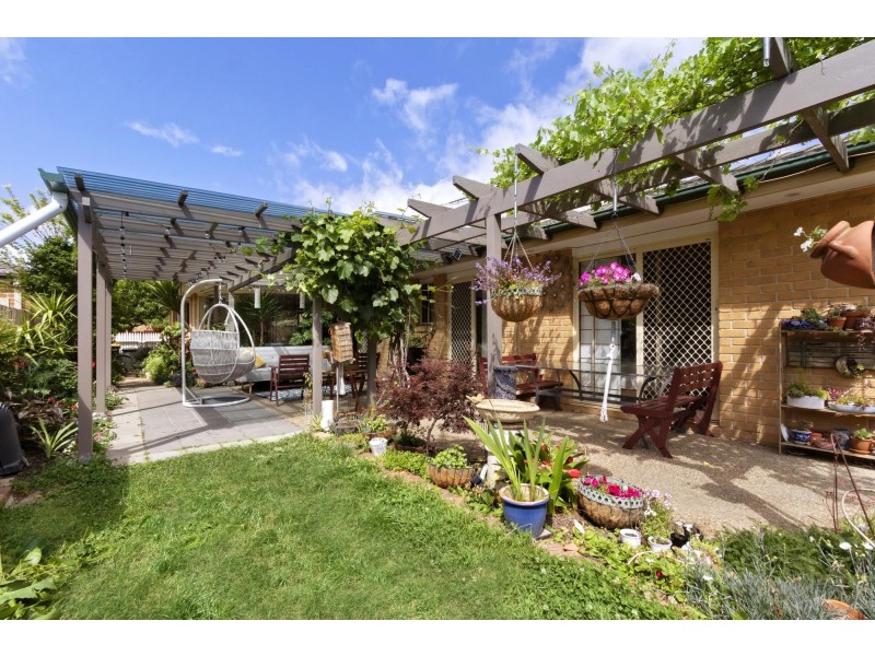 27 Olary Street, Amaroo ACT 2914