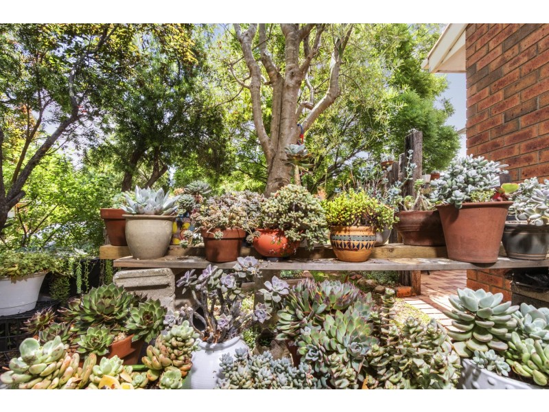 39 Karrugang Circuit, Ngunnawal ACT 2913