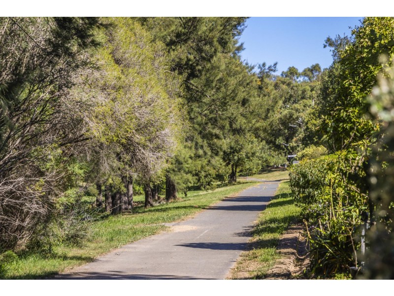 14 Cradle Close, Palmerston ACT 2913