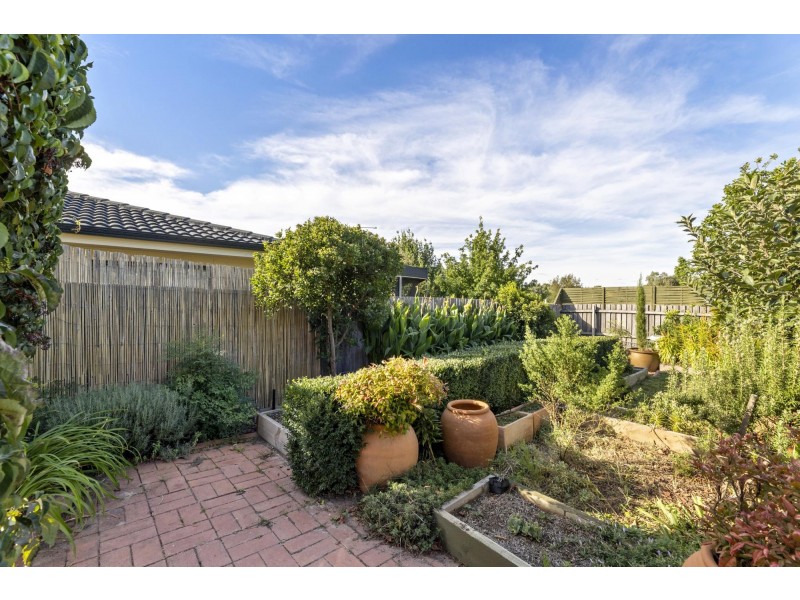 56 Hollingsworth Street, Gungahlin ACT 2912