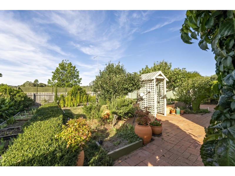 56 Hollingsworth Street, Gungahlin ACT 2912