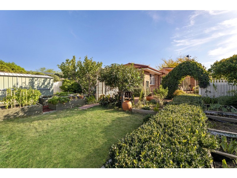 56 Hollingsworth Street, Gungahlin ACT 2912