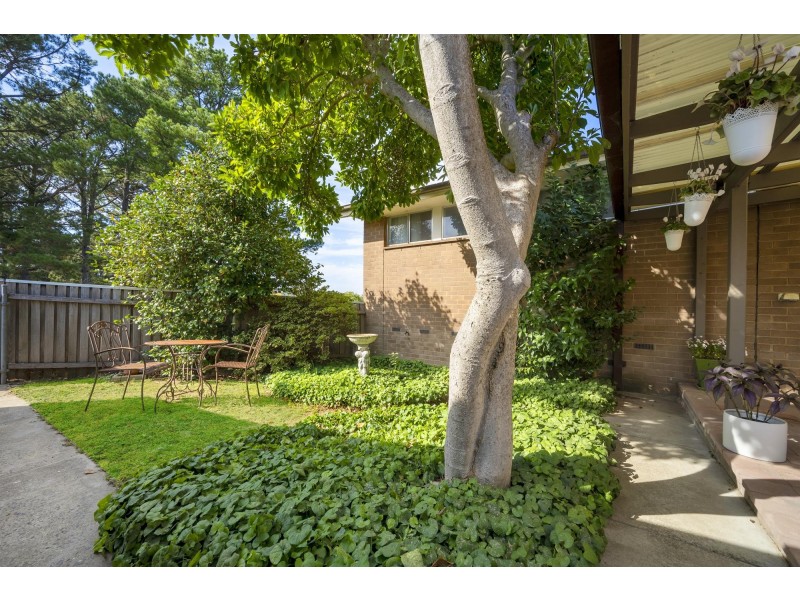 46 Chubb Street, Latham ACT 2615