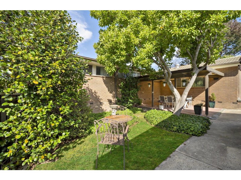 46 Chubb Street, Latham ACT 2615