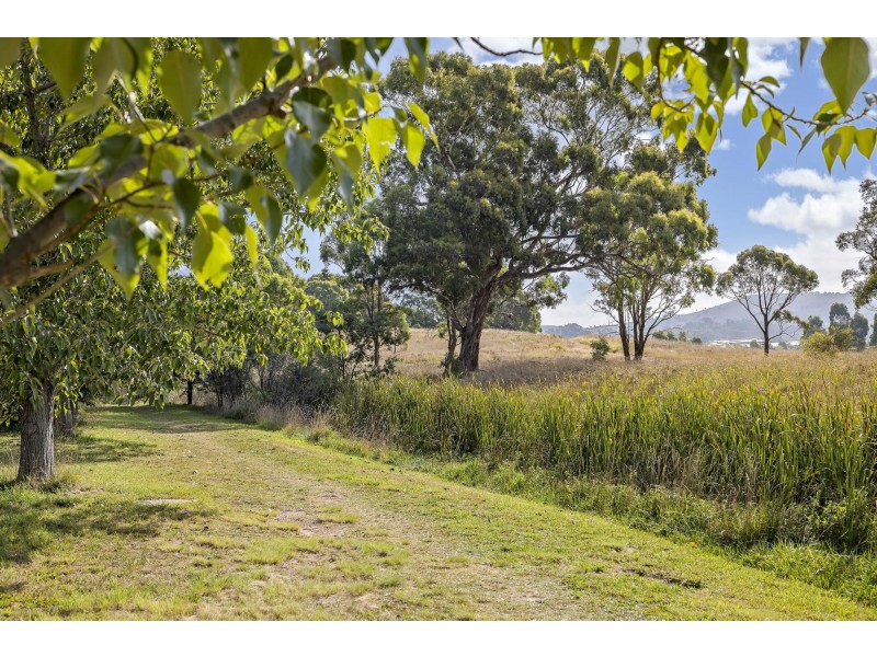 4 Miago Court, Ngunnawal ACT 2913