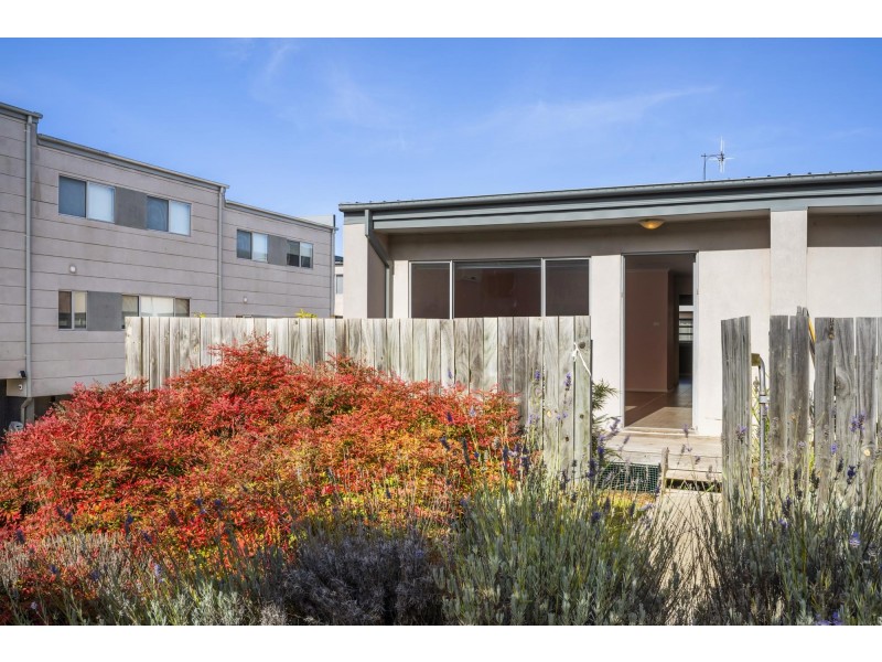 41/15 Andersch Street, Casey ACT 2913