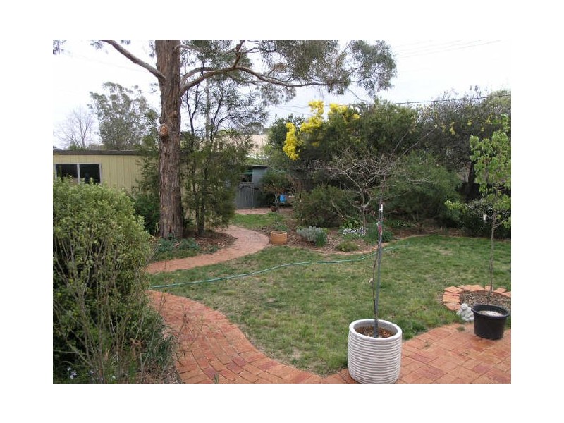 16 Sundew Crescent, O’connor ACT 2602