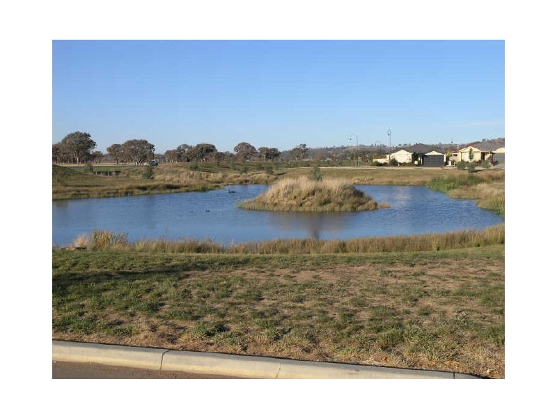 16 Petersilka Street, Gungahlin ACT 2912