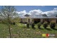 1 Angora Street, Harrison ACT 2914