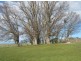 206 Church Lane, Hall NSW 2618