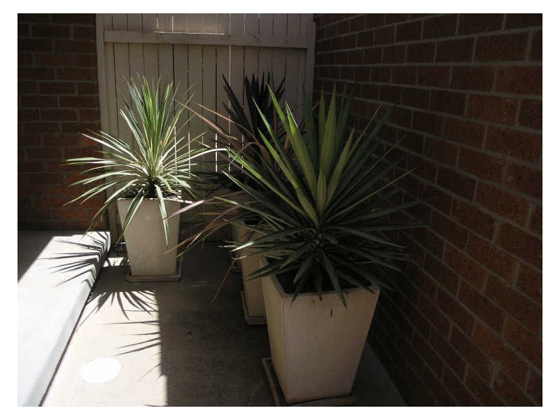 15/13 Lorne Place, Palmerston ACT 2913