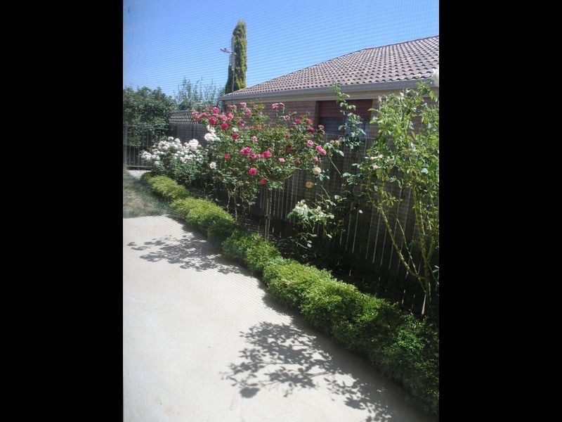 47 Shoalhaven Aveue, Amaroo ACT 2914