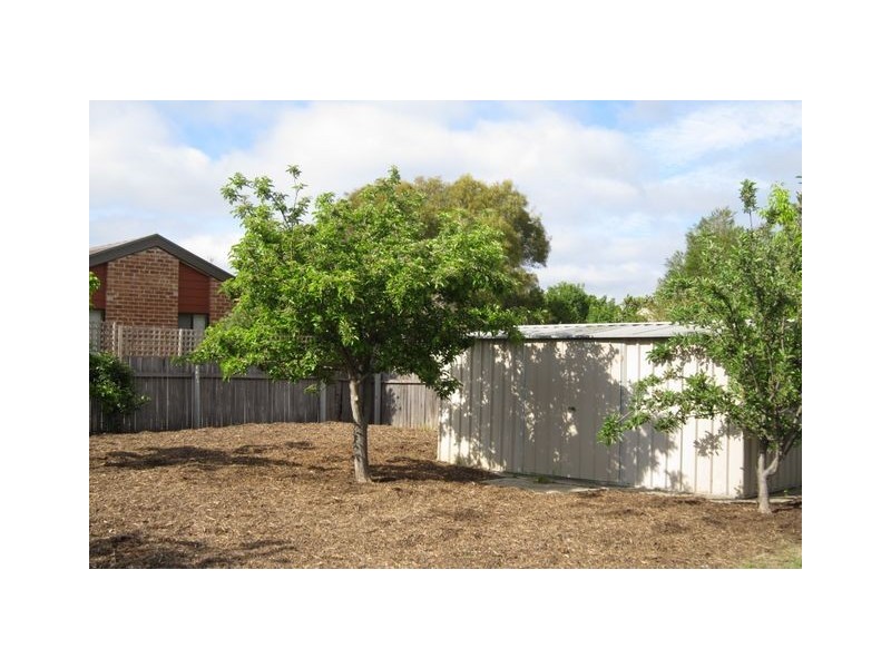 53 Kosciuszko Avenue, Palmerston ACT 2913