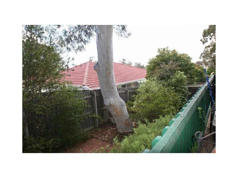 9/8 Biddell Place, Nicholls ACT 2913