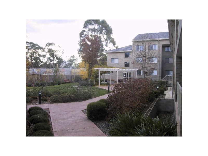 7/43 Ijong Street, Braddon ACT 2612