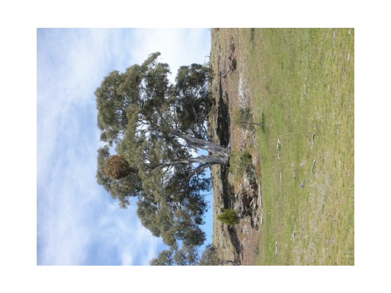 380 Denley Drive, Wamboin NSW 2620