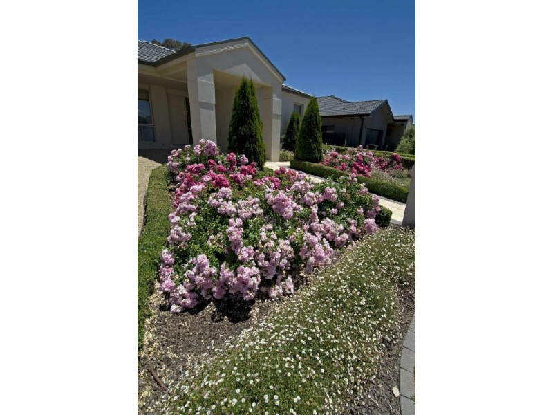 21 Strayleaf Crescent, Gungahlin ACT 2912