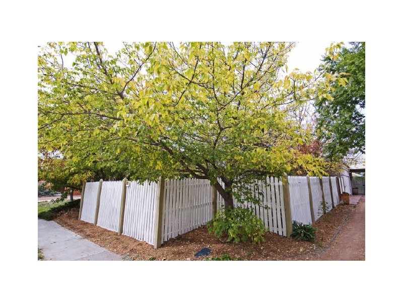 57 Kosciuszko Avenue, Palmerston ACT 2913