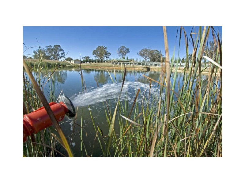 484 Walls Junction Road, Yass NSW 2582