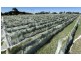 484 Walls Junction Road, Yass NSW 2582
