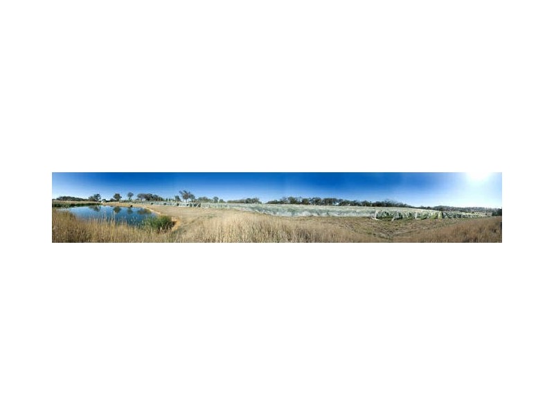 484 Walls Junction Road, Yass NSW 2582