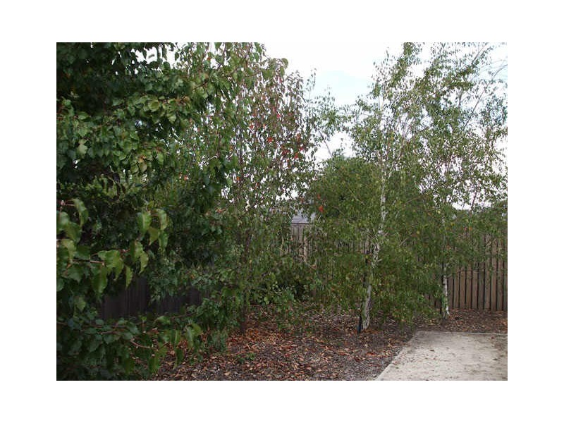 25 Mission Street, Amaroo ACT 2914