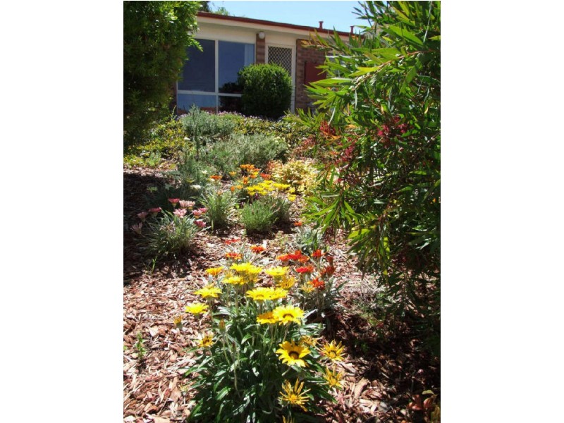 11/215 Kosciuszko Avenue, Palmerston ACT 2913