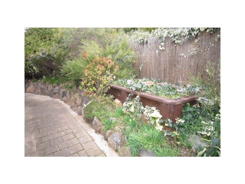 38 Foskett Street, Fraser ACT 2615