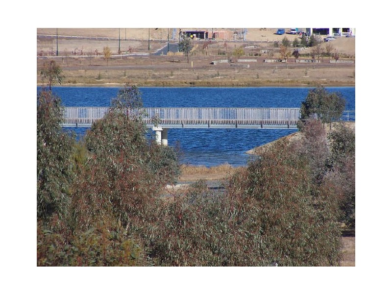 46 Diamond Street, Amaroo ACT 2914