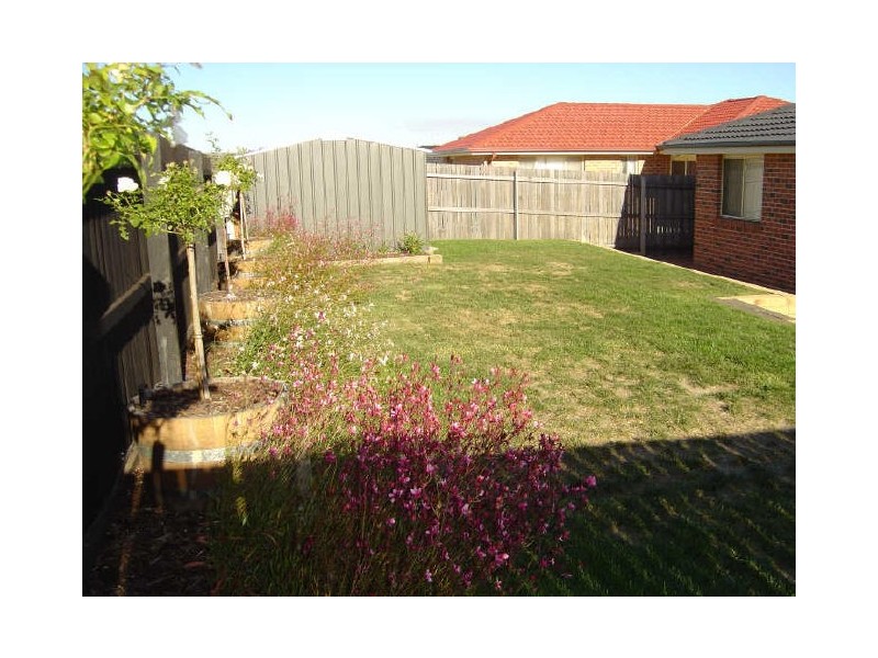 76 Buckingham Street, Amaroo ACT 2914