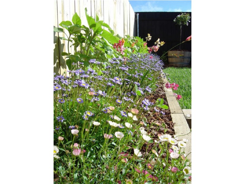 76 Buckingham Street, Amaroo ACT 2914