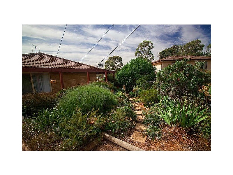 12 Alleyne Close, Macgregor ACT 2615