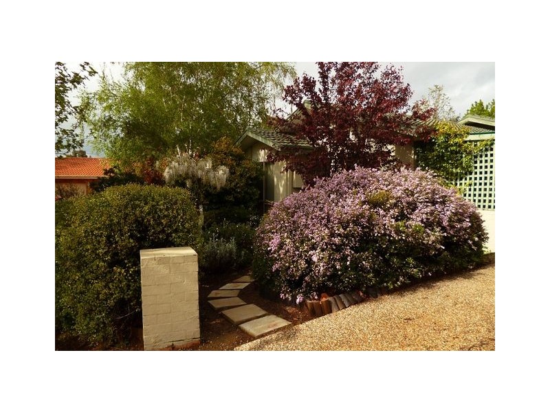 53 Amagula Avenue, Ngunnawal ACT 2913