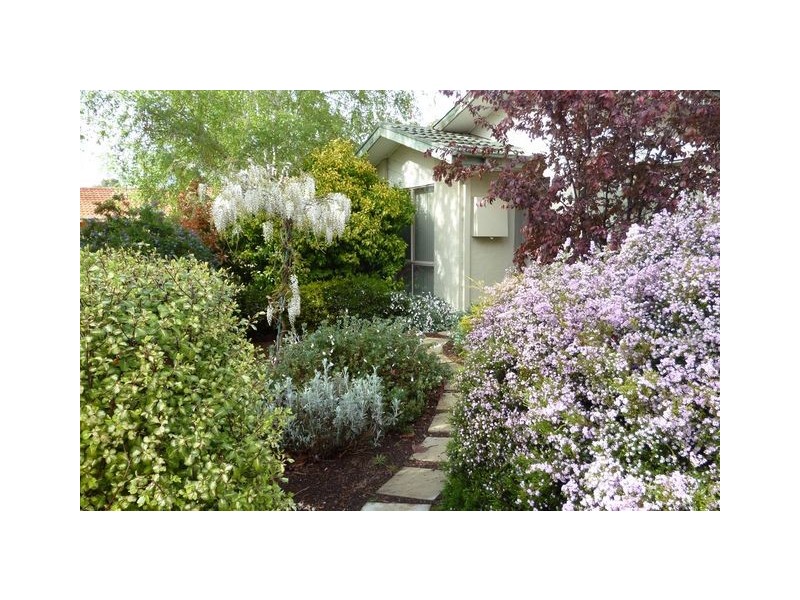 53 Amagula Avenue, Ngunnawal ACT 2913