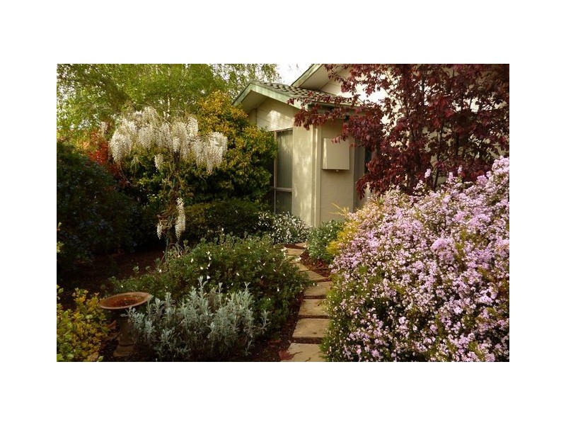 53 Amagula Avenue, Ngunnawal ACT 2913