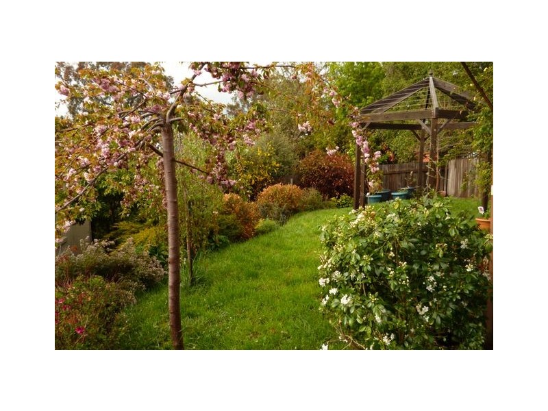 53 Amagula Avenue, Ngunnawal ACT 2913