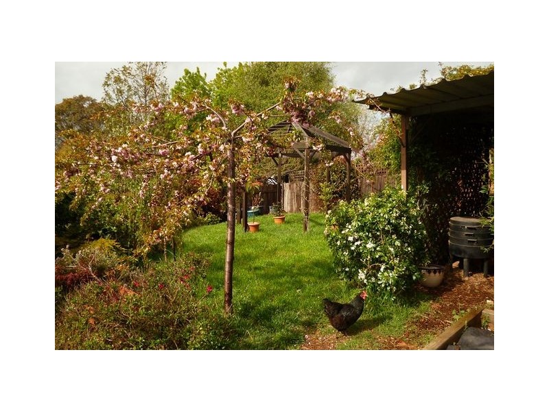 53 Amagula Avenue, Ngunnawal ACT 2913