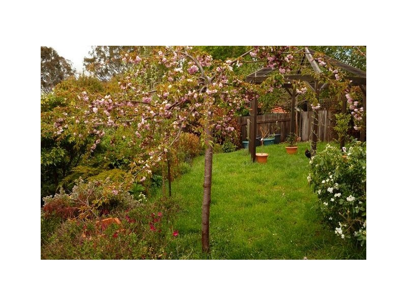 53 Amagula Avenue, Ngunnawal ACT 2913