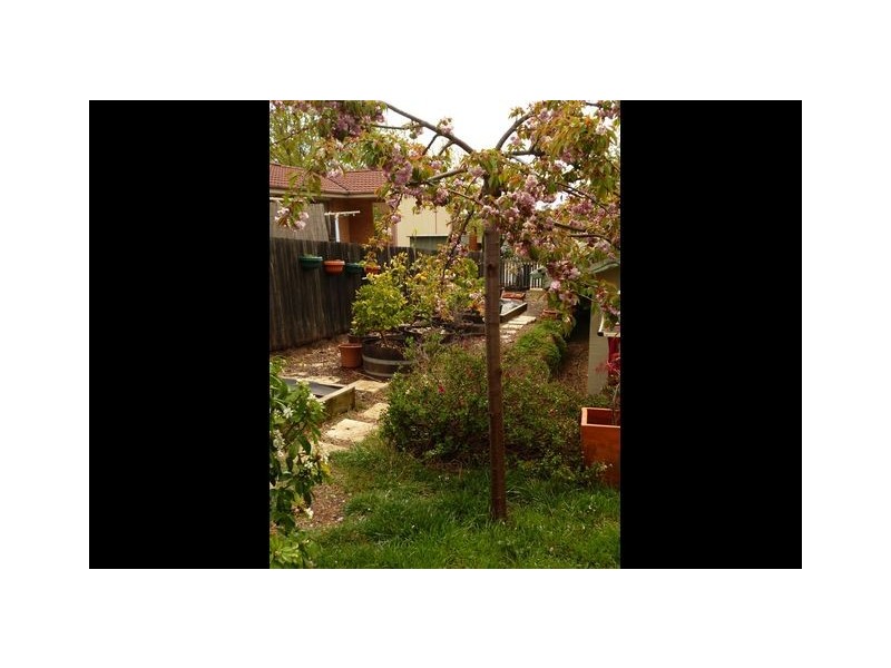 53 Amagula Avenue, Ngunnawal ACT 2913