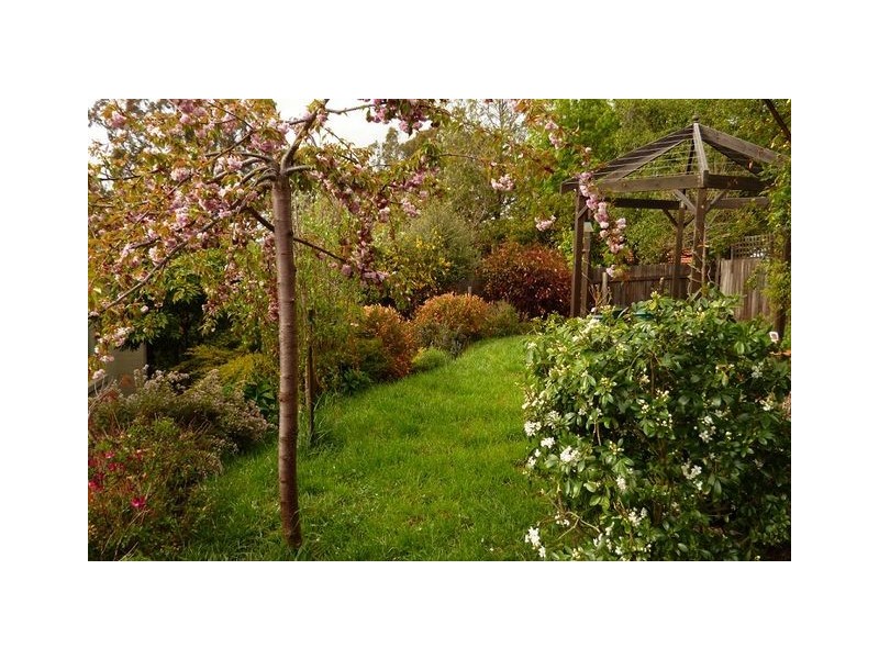 53 Amagula Avenue, Ngunnawal ACT 2913