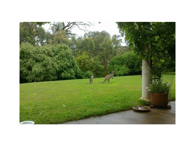 241 Bidges Road, Sutton NSW 2620