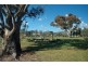 35 Tanami Street, Harrison ACT 2914