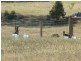 Bedfordale WA 6112