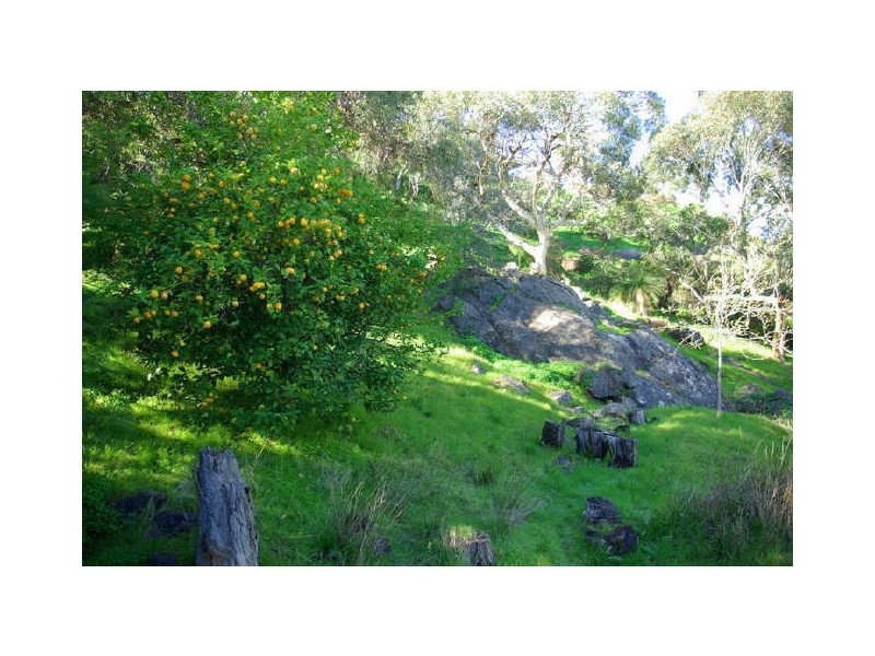 31 Taylor Road, Kalamunda WA 6076