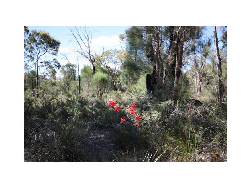 39 Lesmurdie Road East, Walliston WA 6076